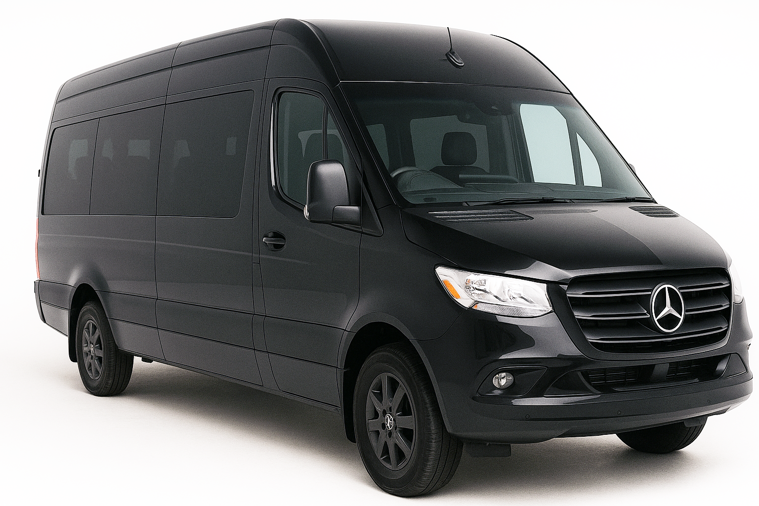 14-Pax Sprinter Van